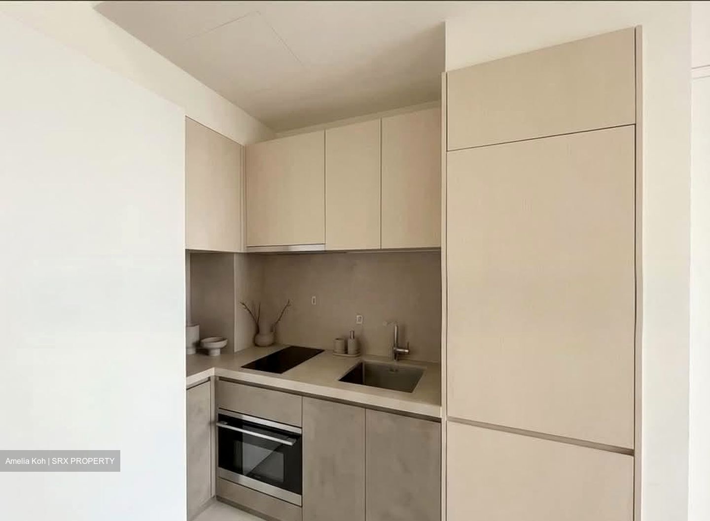 Lincoln Suites (D11), Condominium #535476161